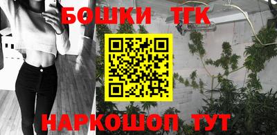 тгк Камышлов