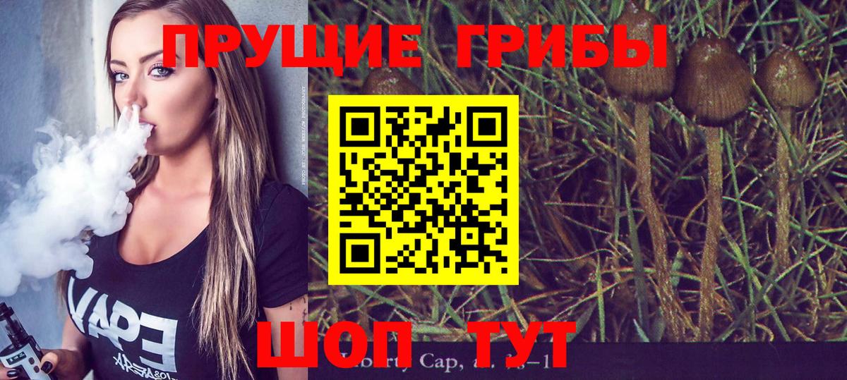 Кубинка  Псилоцибиновые грибы мицелий  Вход с VPN 